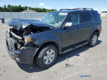  Salvage Mercury Mariner