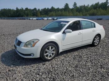  Salvage Nissan Maxima