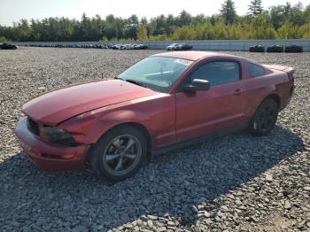  Salvage Ford Mustang