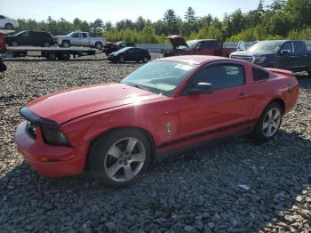  Salvage Ford Mustang