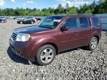  Salvage Honda Pilot