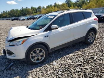  Salvage Ford Escape