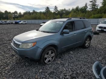  Salvage Subaru Forester