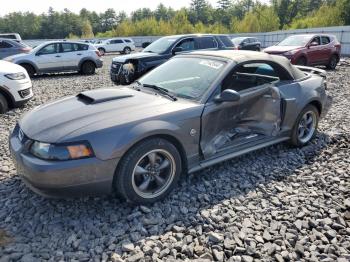  Salvage Ford Mustang