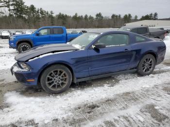  Salvage Ford Mustang