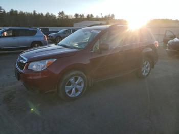  Salvage Subaru Forester