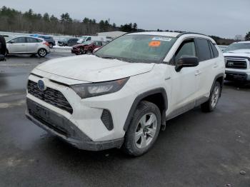  Salvage Toyota RAV4