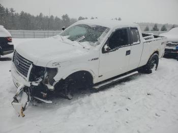  Salvage Ford F-150