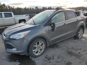  Salvage Ford Escape