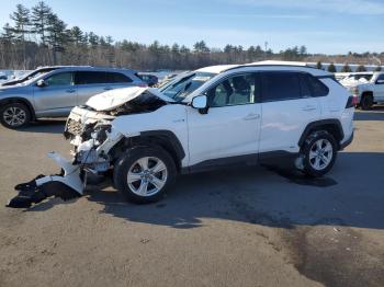  Salvage Toyota RAV4