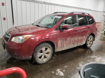  Salvage Subaru Forester