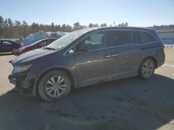  Salvage Honda Odyssey