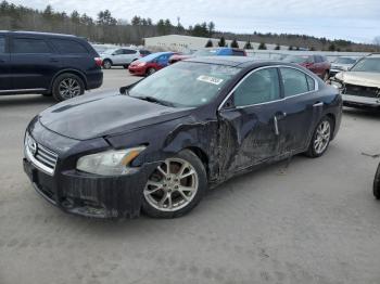  Salvage Nissan Maxima