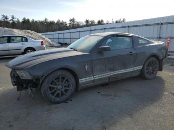  Salvage Ford Mustang