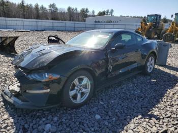  Salvage Ford Mustang