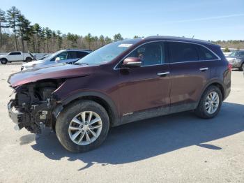  Salvage Kia Sorento