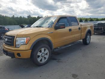  Salvage Ford F-150