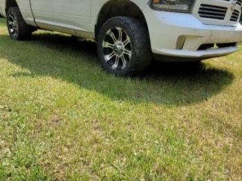  Salvage Ram 1500