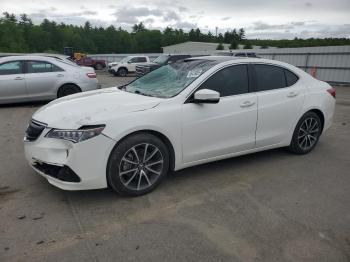  Salvage Acura TLX