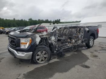  Salvage Ford F-150