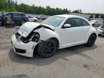  Salvage Volkswagen Beetle