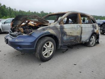  Salvage Honda Crv