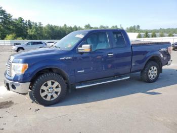  Salvage Ford F-150