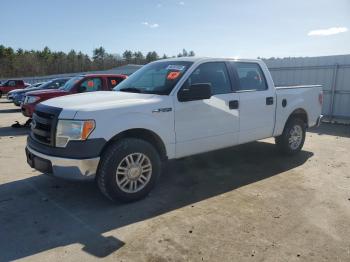  Salvage Ford F-150