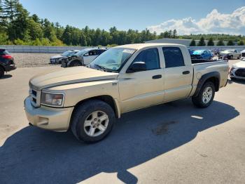  Salvage Dodge Dakota