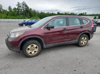  Salvage Honda Crv