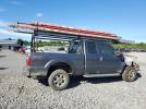 Ford F-250 Super Duty Image 4