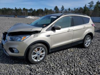  Salvage Ford Escape