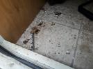 Other Rv Highlander Image 2
