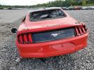 Ford Mustang Image 11