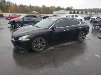  Salvage Nissan Maxima