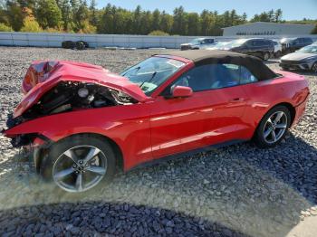  Salvage Ford Mustang