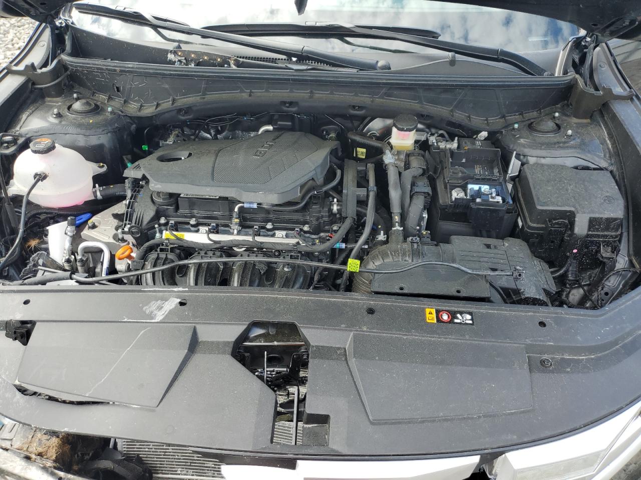 Hyundai SANTA CRUZ Sel Image 8