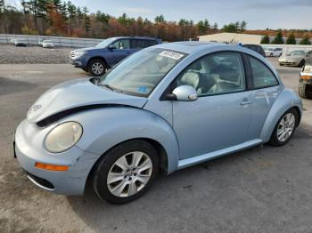  Salvage Volkswagen Beetle