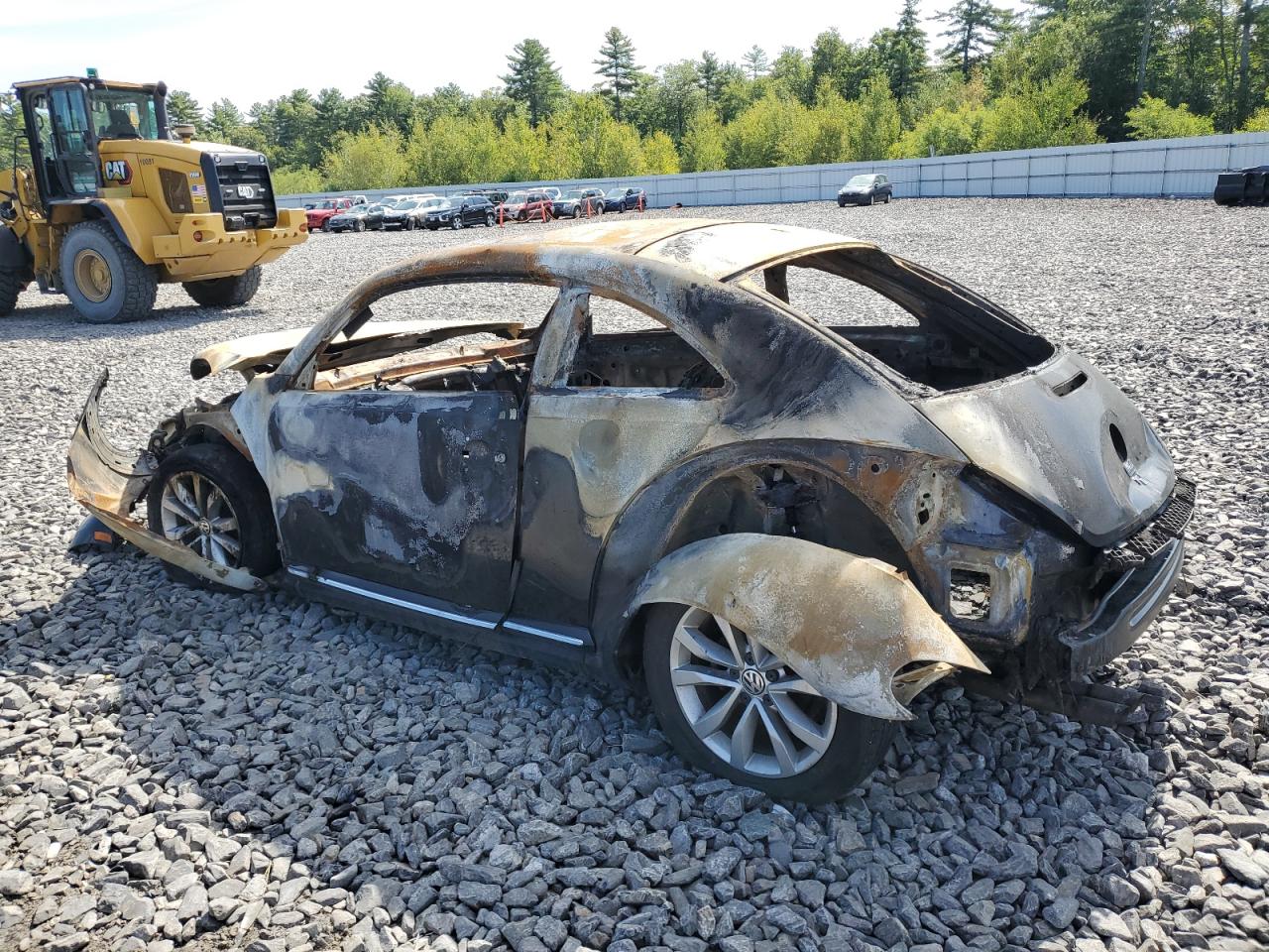 Volkswagen Beetle Image 10