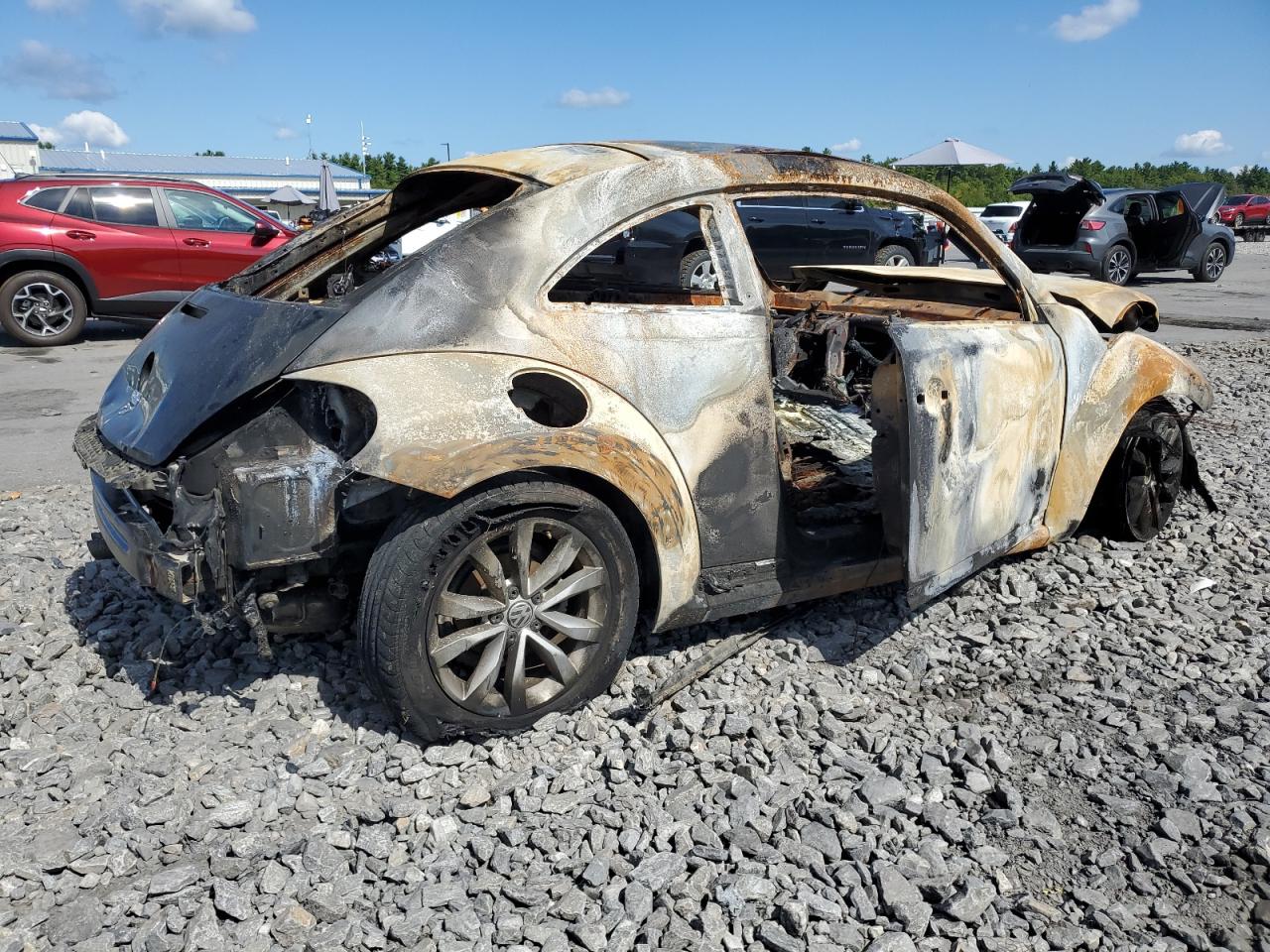 Volkswagen Beetle Image 6