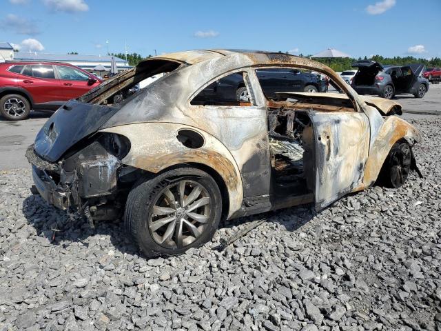 Volkswagen Beetle Image 6