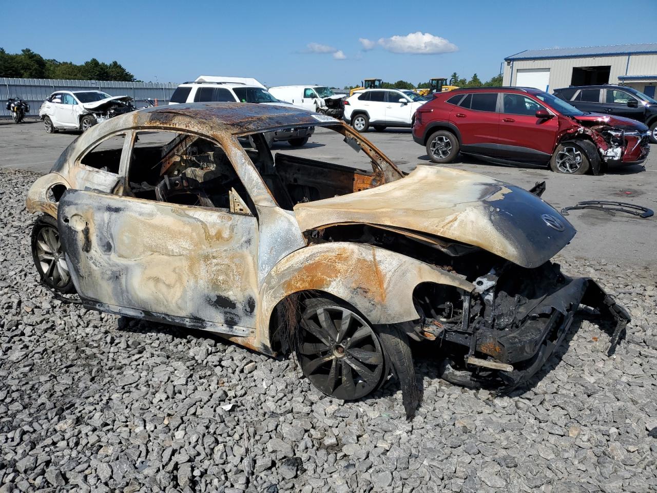 Volkswagen Beetle Image 11