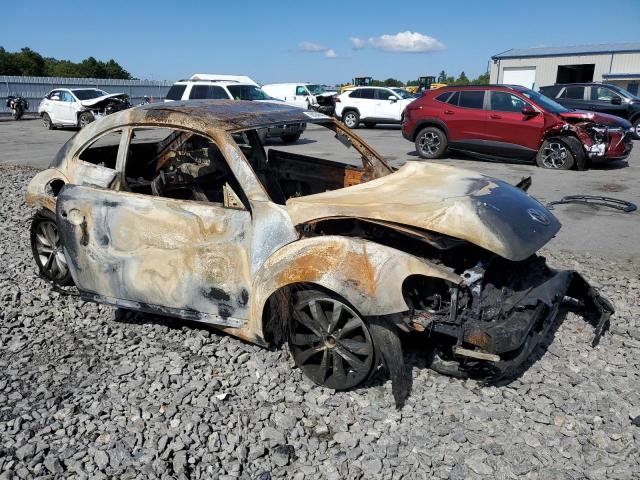 Volkswagen Beetle Image 11