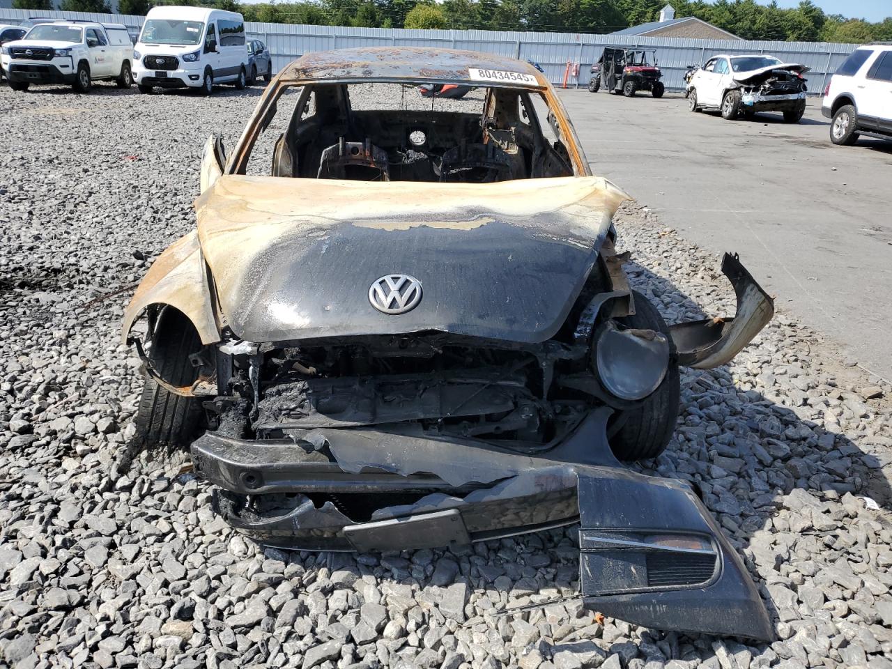 Volkswagen Beetle Image 9