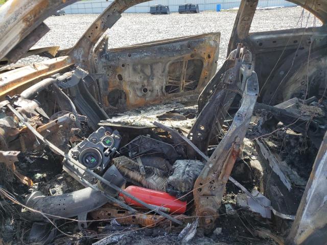 Volkswagen Beetle Image 8