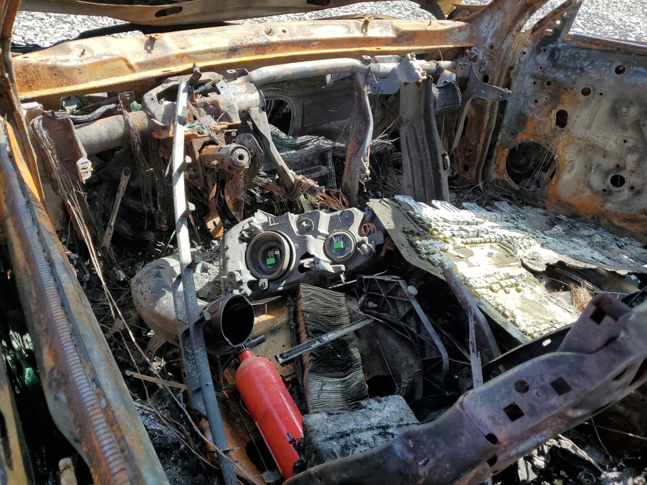 Volkswagen Beetle Image 2