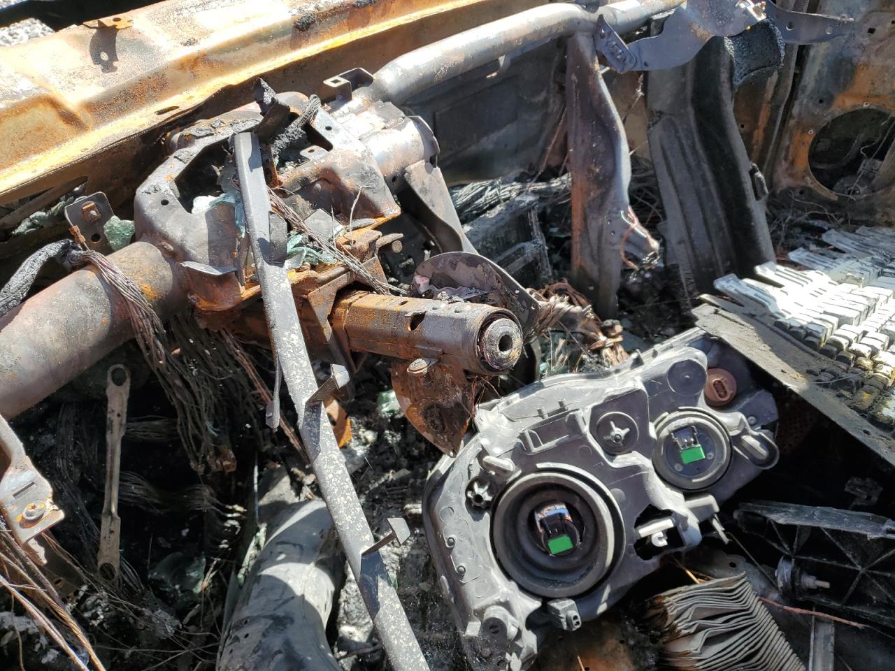 Volkswagen Beetle Image 3