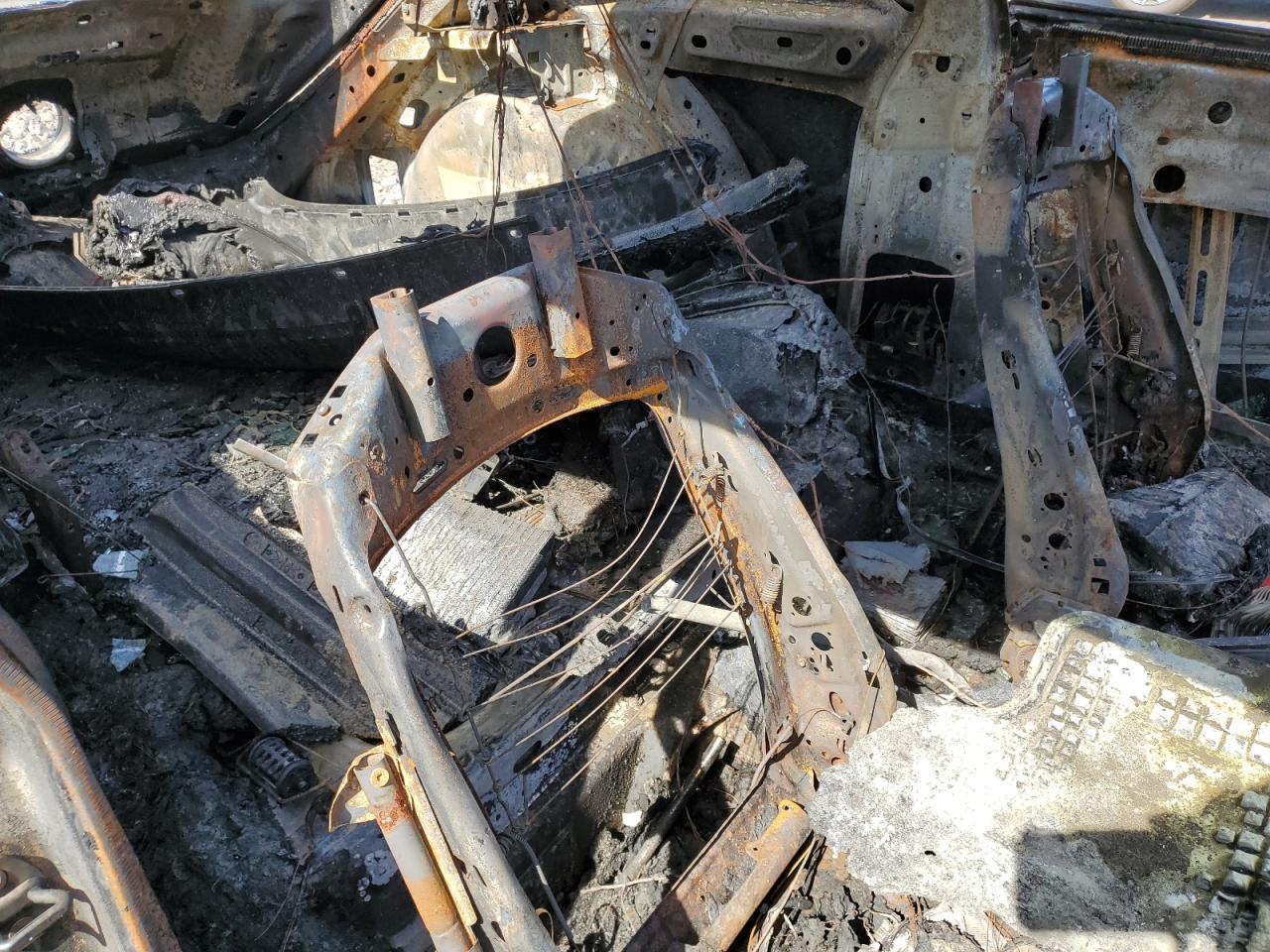 Volkswagen Beetle Image 5