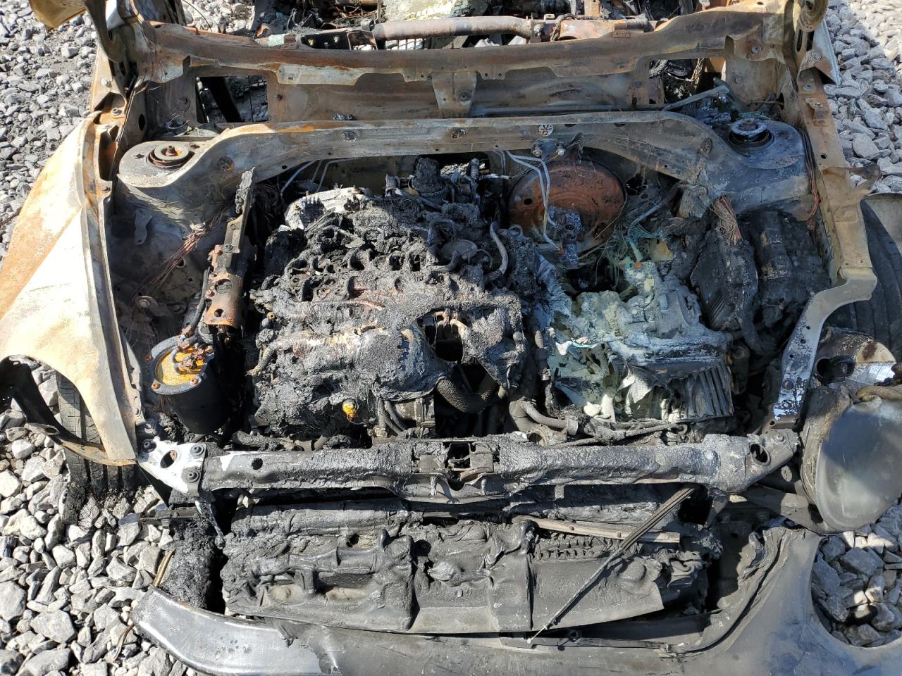 Volkswagen Beetle Image 4