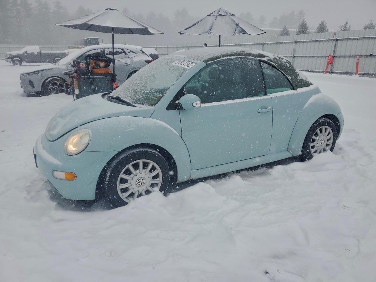 Volkswagen Beetle Gls Image 1